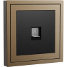 Xelent Series 1 Port Ethernet Wall Jack Brushed Aluminium - Brass