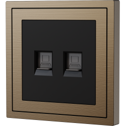 Xelent Series 2 Ports Ethernet Wall Jack Brushed Aluminium - Brass