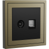 Xelent Series TV and Ethernet Wall Jack Brushed Aluminium - Antique Bronze