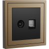 Xelent Series TV and Ethernet Wall Jack Brushed Aluminium - Brass